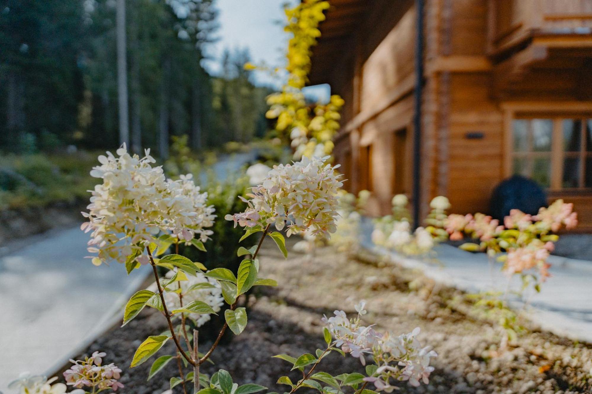 Sissi'S Green Chalets Leutasch Esterno foto